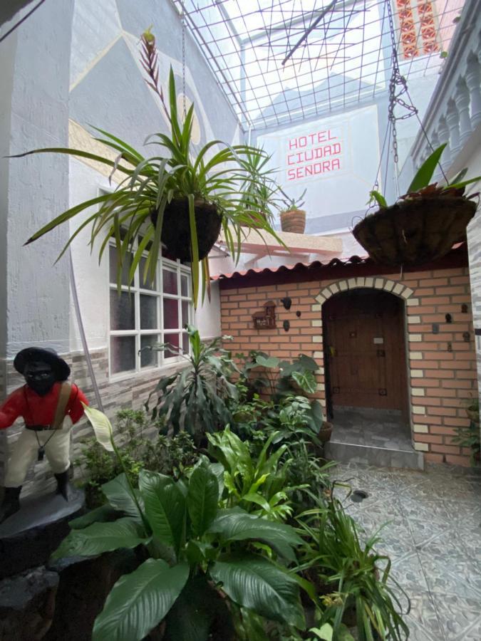 Hotel Ciudad Senora 布加 外观 照片